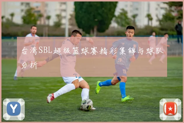 台湾SBL超级篮球赛精彩集锦与球队分析